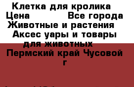 Клетка для кролика › Цена ­ 5 000 - Все города Животные и растения » Аксесcуары и товары для животных   . Пермский край,Чусовой г.